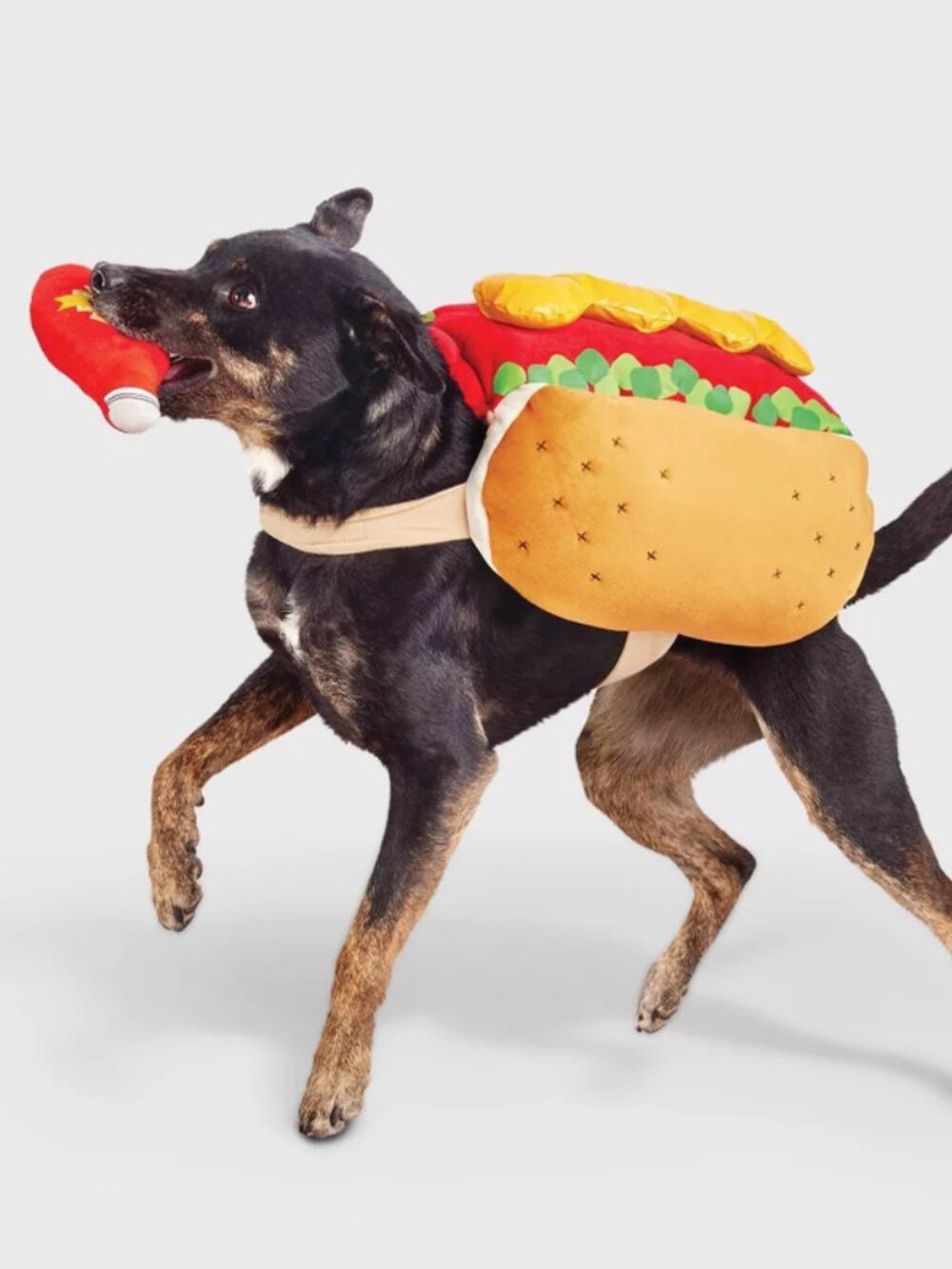 Hot Dog Full Body Halloween Dog Costume NWT